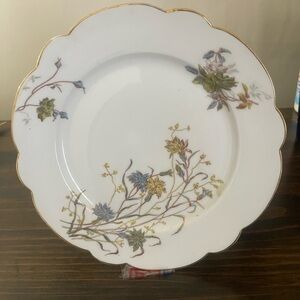 Limoges LS&S Hand-Painted Porcelain
Plate with Floral Design. Have (11)